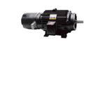 Black Max Inverter Duty Motor