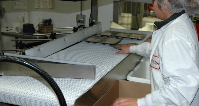 Image of Dairy and Cheese Food Conveyor