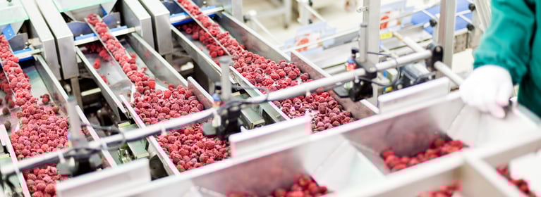 Image showing a food production line of red potatoes